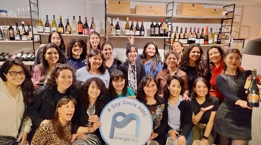 Comité Haciendo Comunidad de AME realiza actividad de construcción de redes entre socias y mujeres de otras industrias
