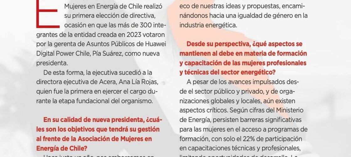 Presidenta de AME expone los ejes estratégicos de su gestión en entrevista con Revista Electricidad