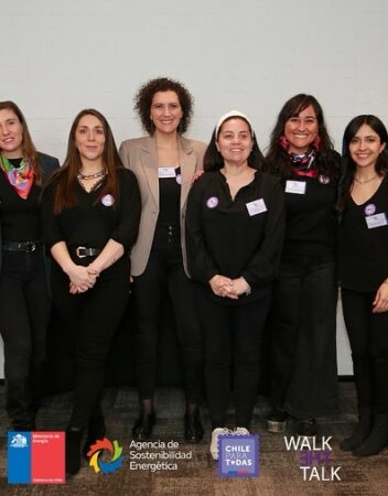 Nueve integrantes de AME completan el Programa de Liderazgo para Mujeres en Energía del Ministerio de Energía