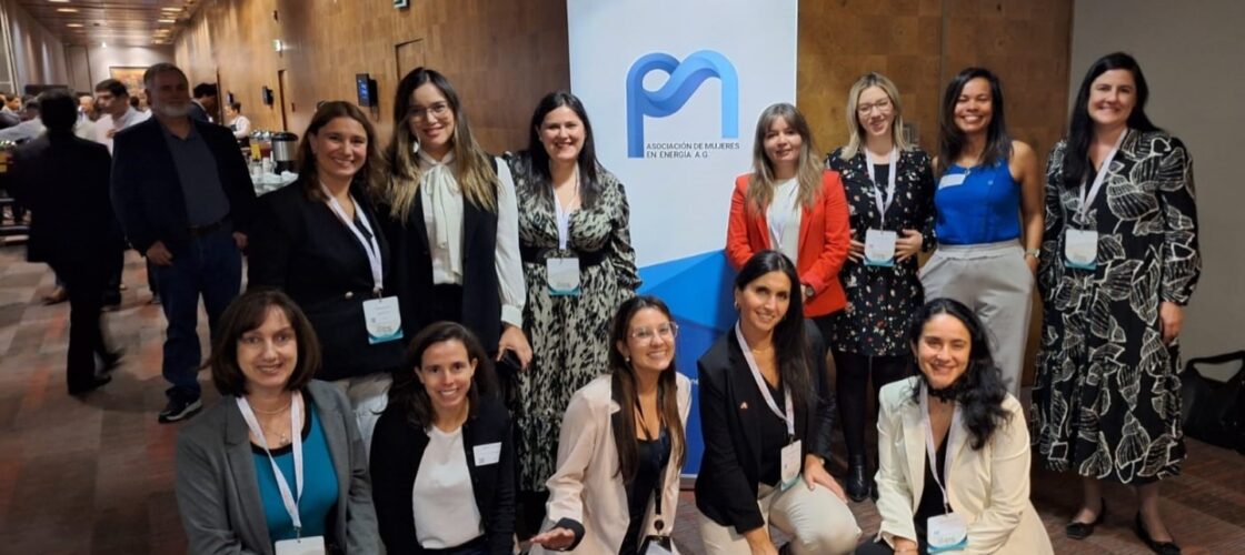 Más de 30 socias de AME participan en Energy Storage Summit y la Asociación consolida alianza estratégica con el evento
